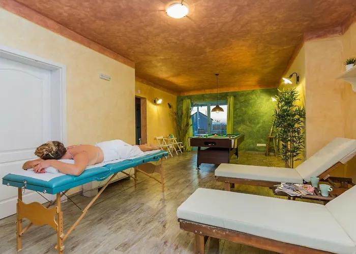 فيلة Wellness & Spirini Dvori *
