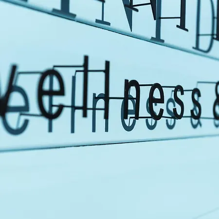 Wellness & Spirini Dvori Villa *